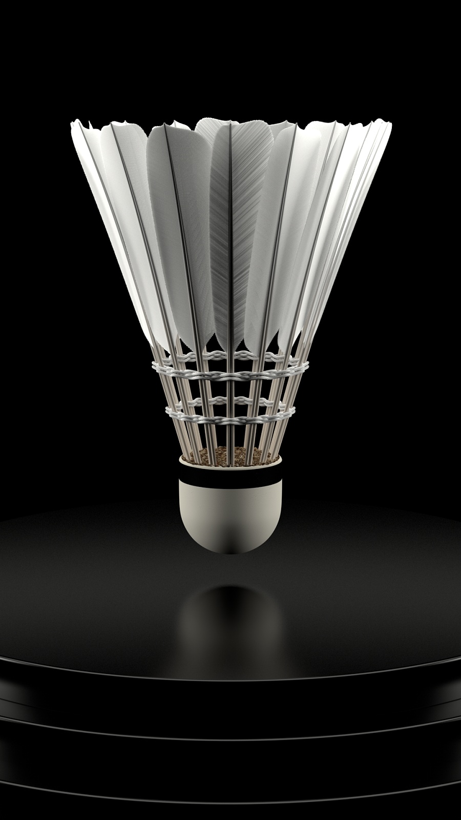 若只看一张 若只看一张